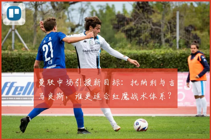 曼联中场引援新目标:托纳利与吉马良斯,谁更适合红魔战术体系?